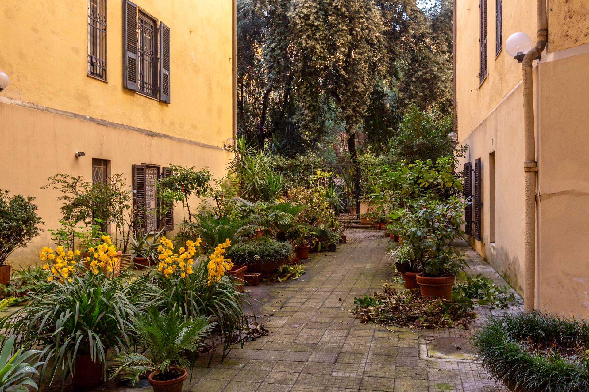 Vista residenziale di Corso Trieste a Roma con palazzi eleganti e contesto signorile